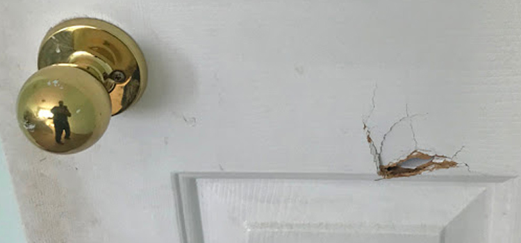 interior door hole repair Garden Acres
